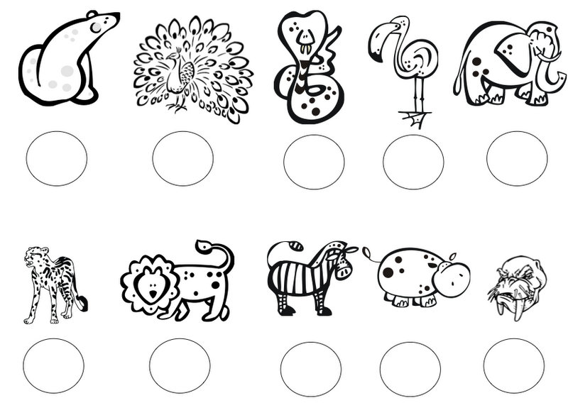 Polar bear polar bear book panion with freebie