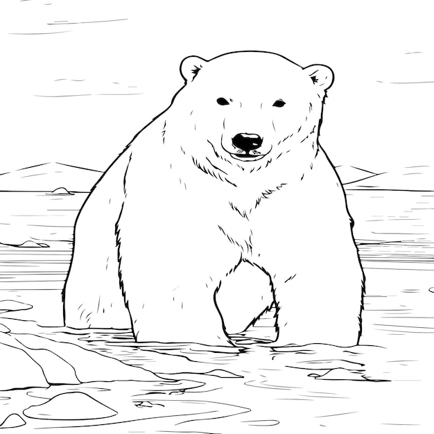 Premium vector polar bear coloring page