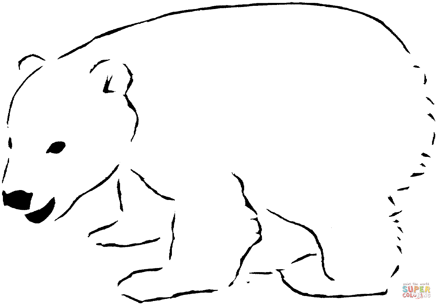 Polar bear coloring page free printable coloring pages