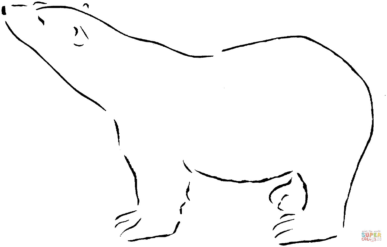 Polar bear coloring page free printable coloring pages