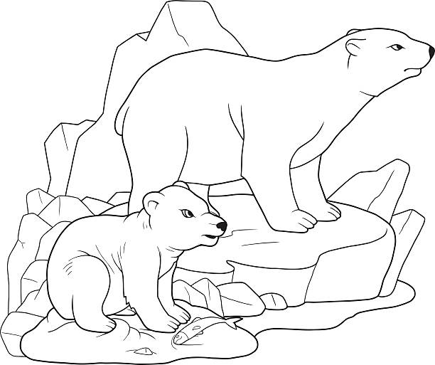 Coloring book polar bear stock illustrations royalty