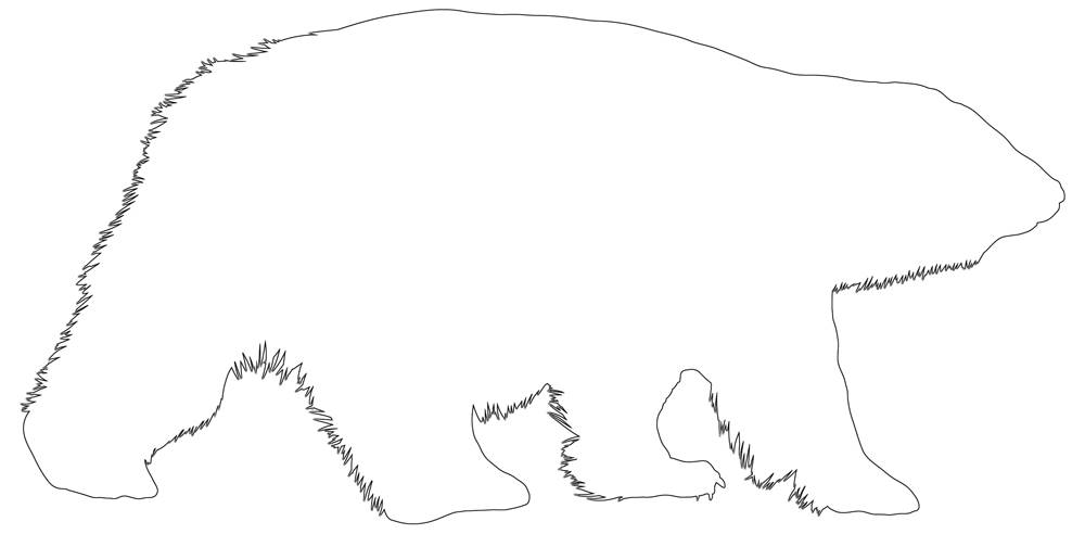 Polar bear outline