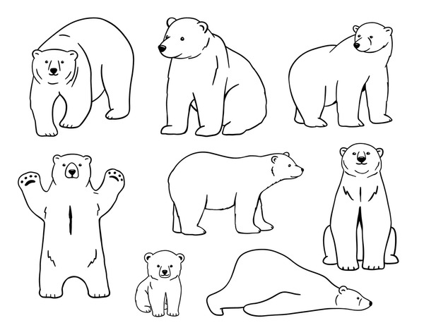 Bear outline vector royalty