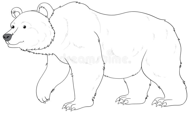 Polar bear colouring stock illustrations â polar bear colouring stock illustrations vectors clipart