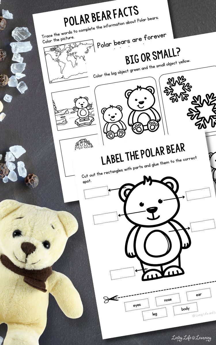 Polar bear worksheets for kindergarten