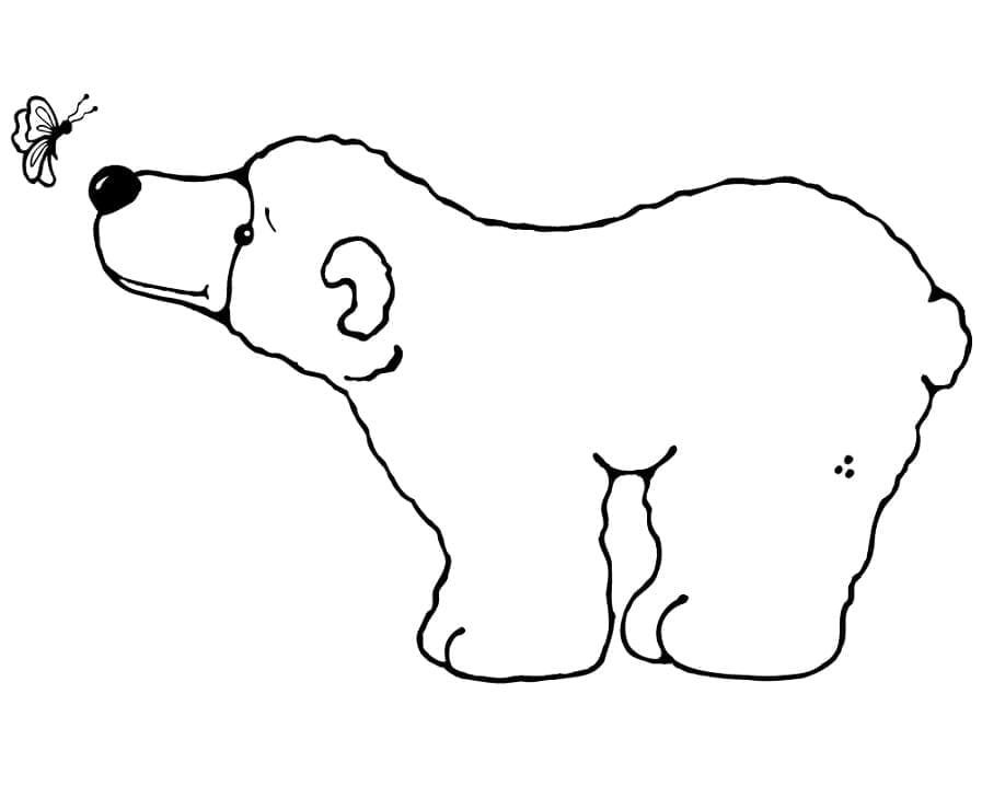 Polar bear and butterfly coloring page