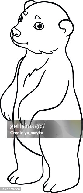 Loring pages little cute baby polar bear high