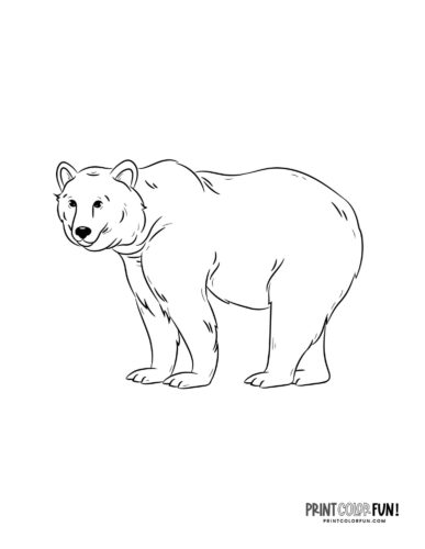 Explore the wild with bear clipart coloring plus engaging activities for kids at