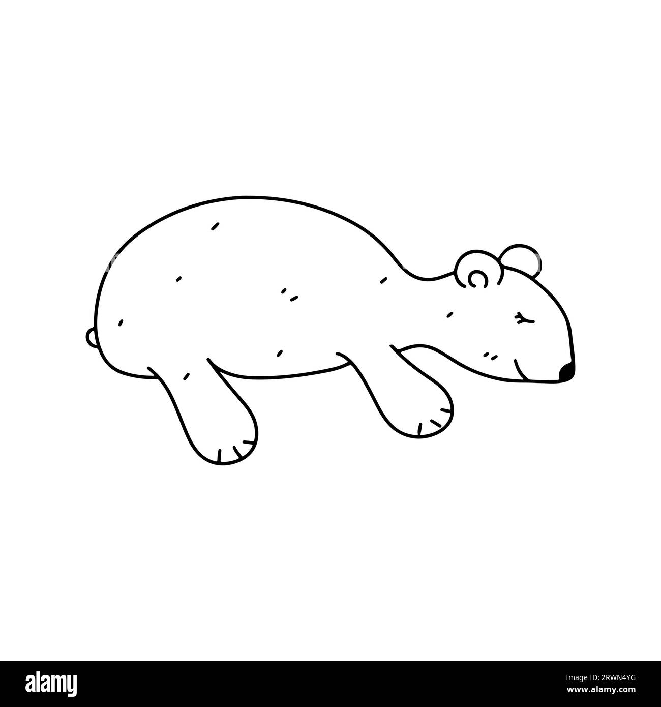 Polar bear child black and white stock photos images