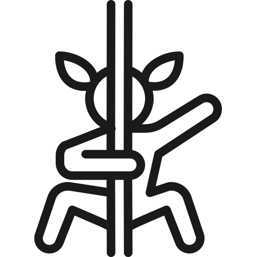 Dancing pole icon