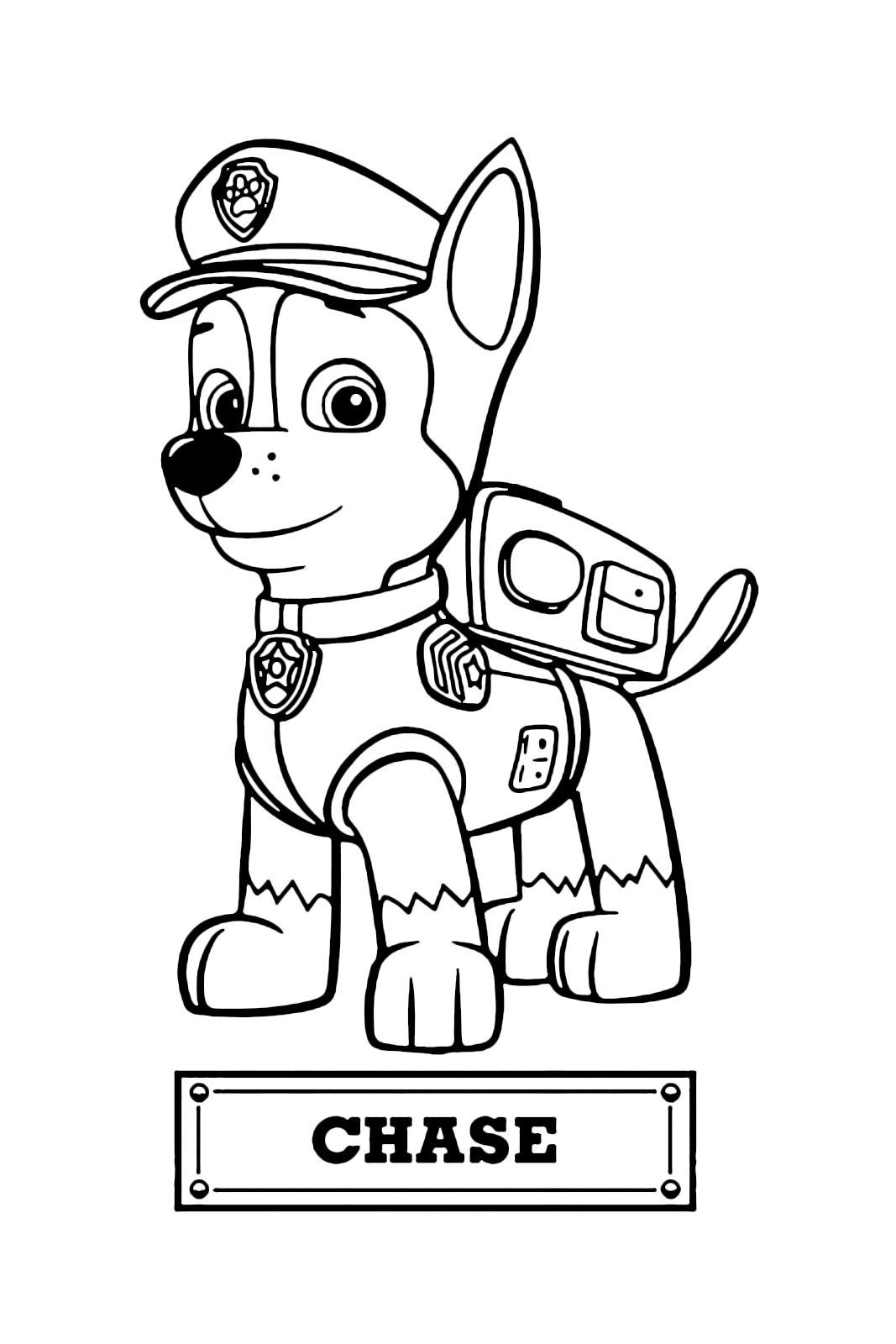 Paw patrol