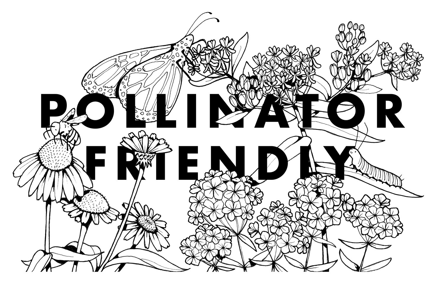 Pollinator friendly coloring sheet for kids â logans garden shop