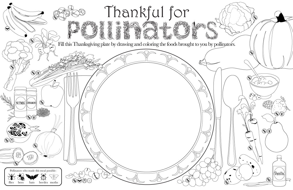 Pollinator coloring sheet â chicago botanic garden