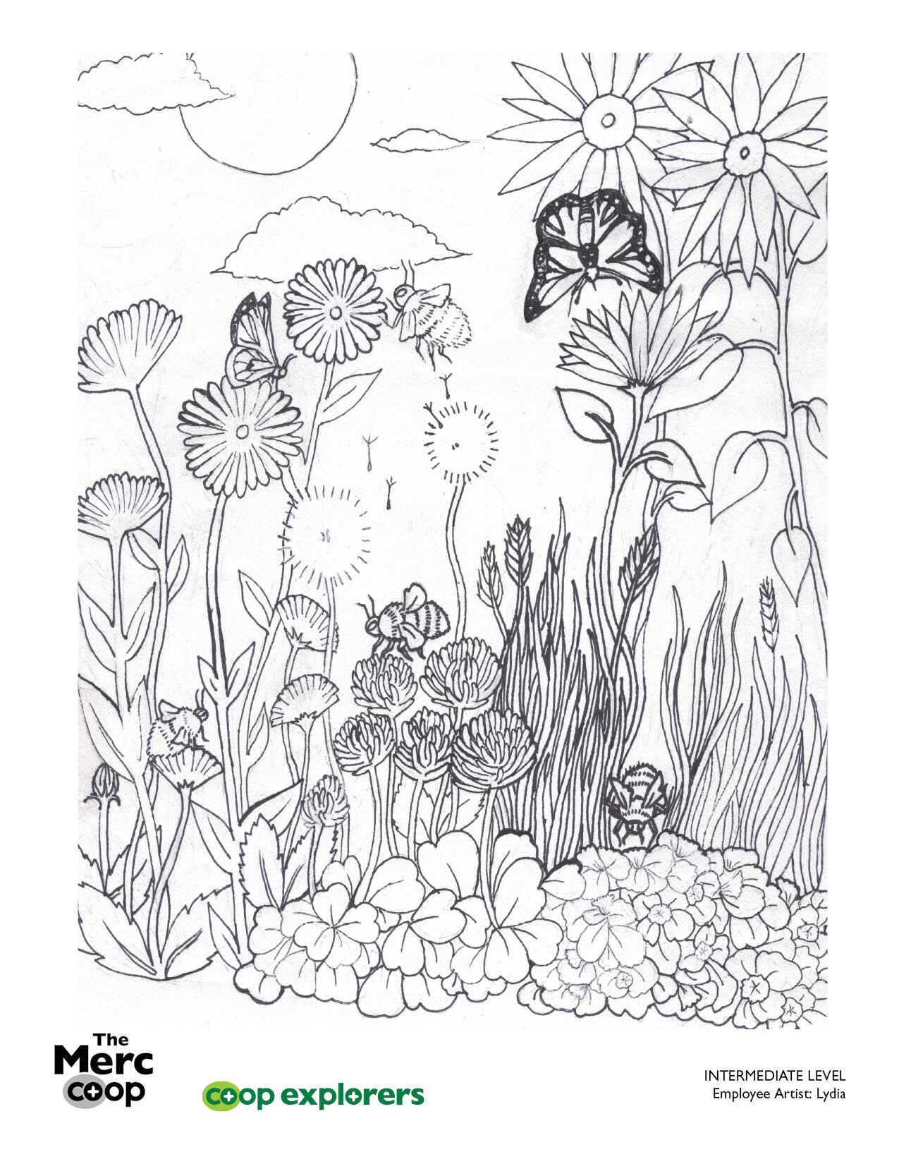 Pollinator garden coloring contest â the merc coop