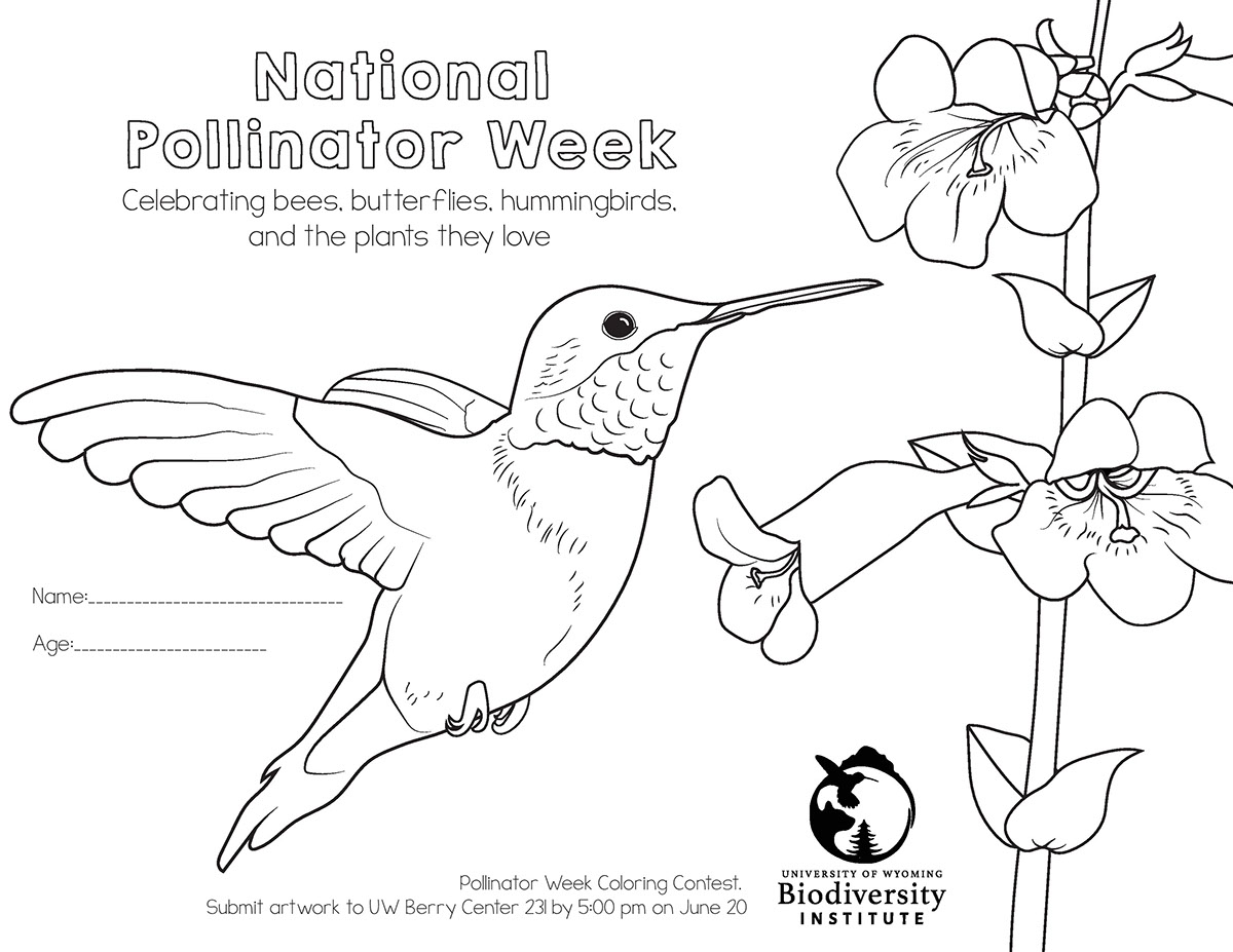 National pollinator week coloring pages