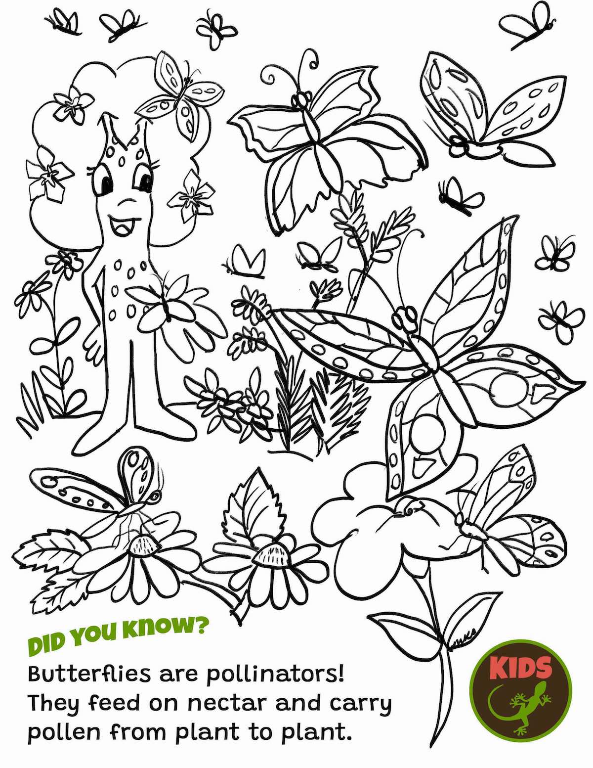 Butterfly coloring sheet â