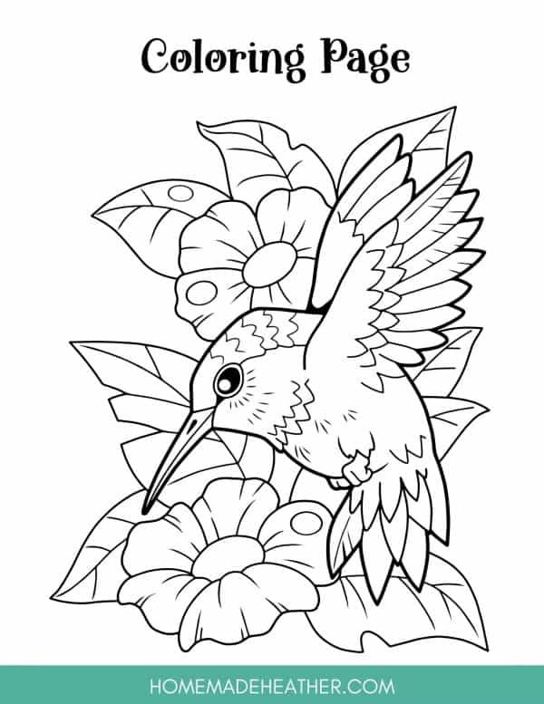 Free pollination printable work sheets homemade heather