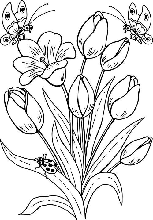 Pollinator coloring pages â seattles favorite garden store since