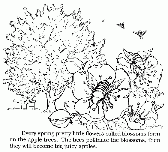 Tuttle orchards coloring book pages