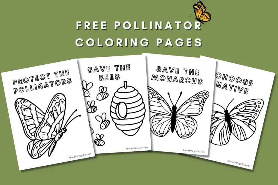 Free pollinator coloring pages