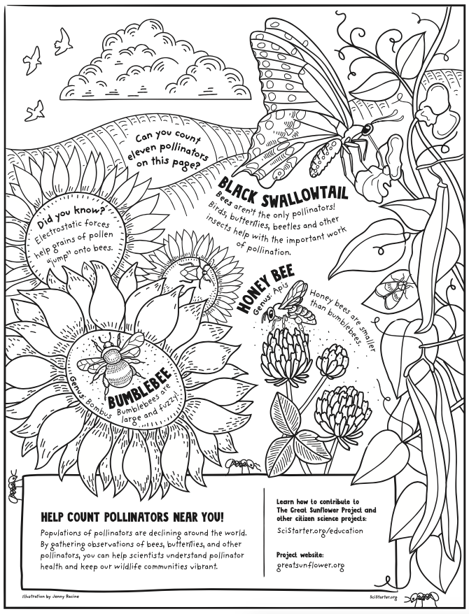 National pollinator garden network