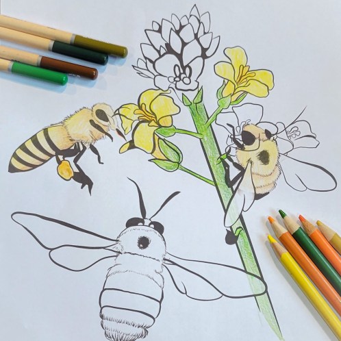 Coloring pages archives