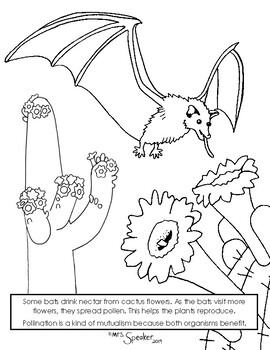 Bat and cactus flower pollinator coloring page by mrsspeaker tpt