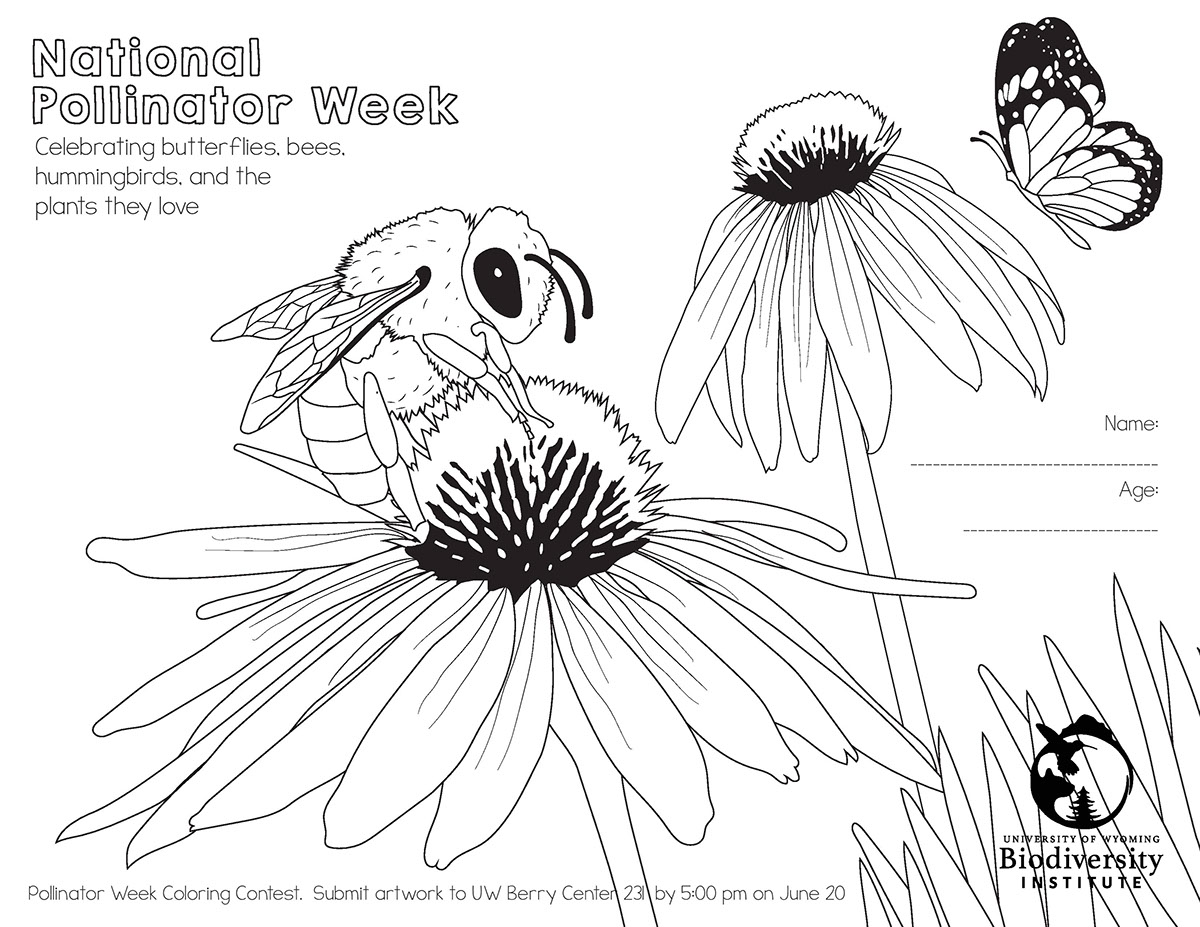 National pollinator week coloring pages