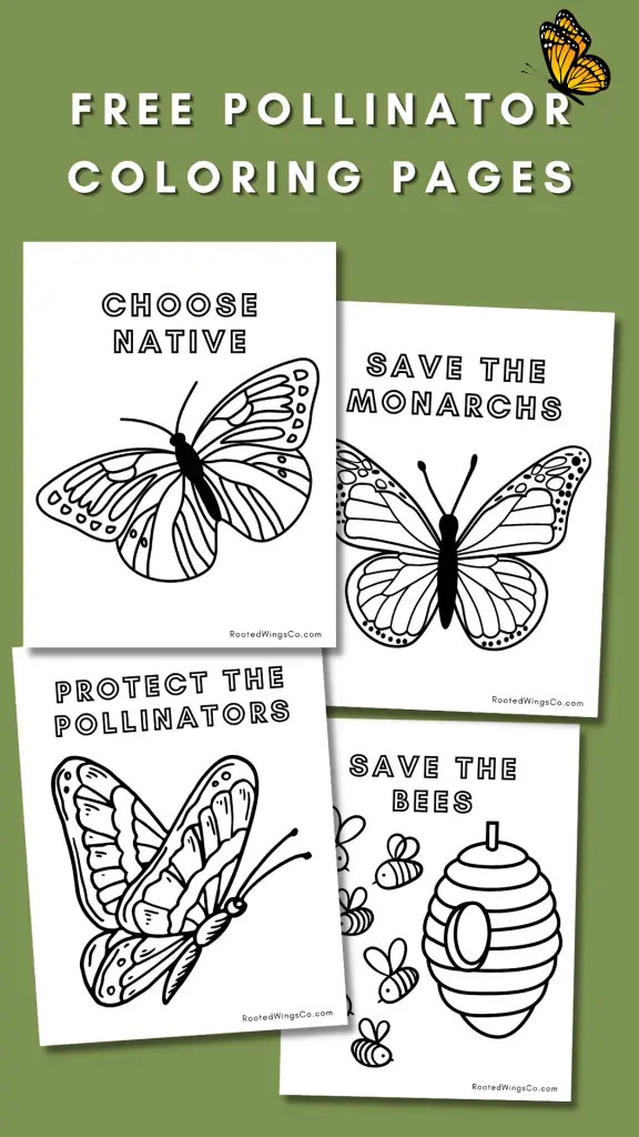 Free pollinator coloring pages