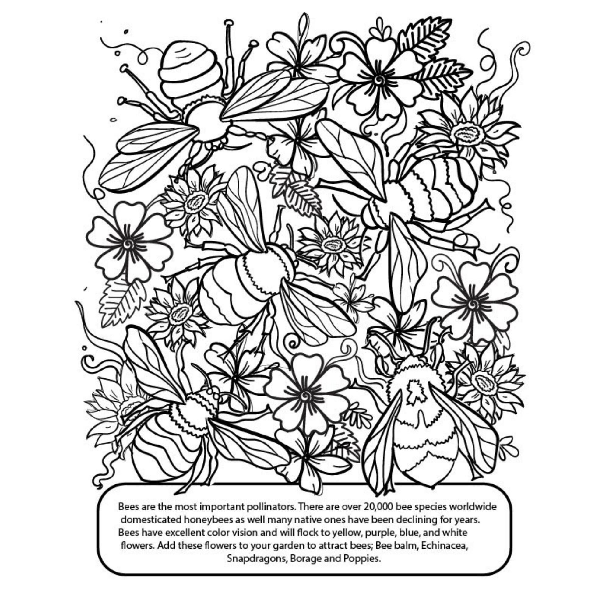 Garden pollinators coloring page herb plant coloring page grayscale coloring book printable nature lovers coloring book