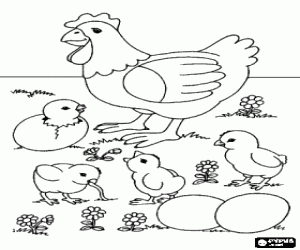 Birds coloring pages birds coloring book birds printable color pages