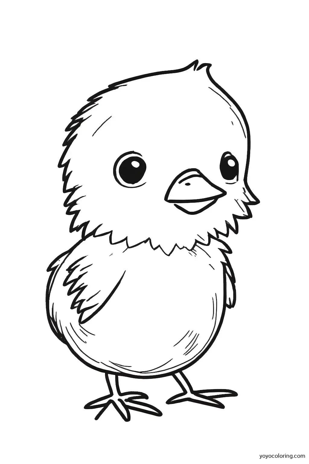Dibujos para colorear de pollitos á plantilla de pintura imprimible
