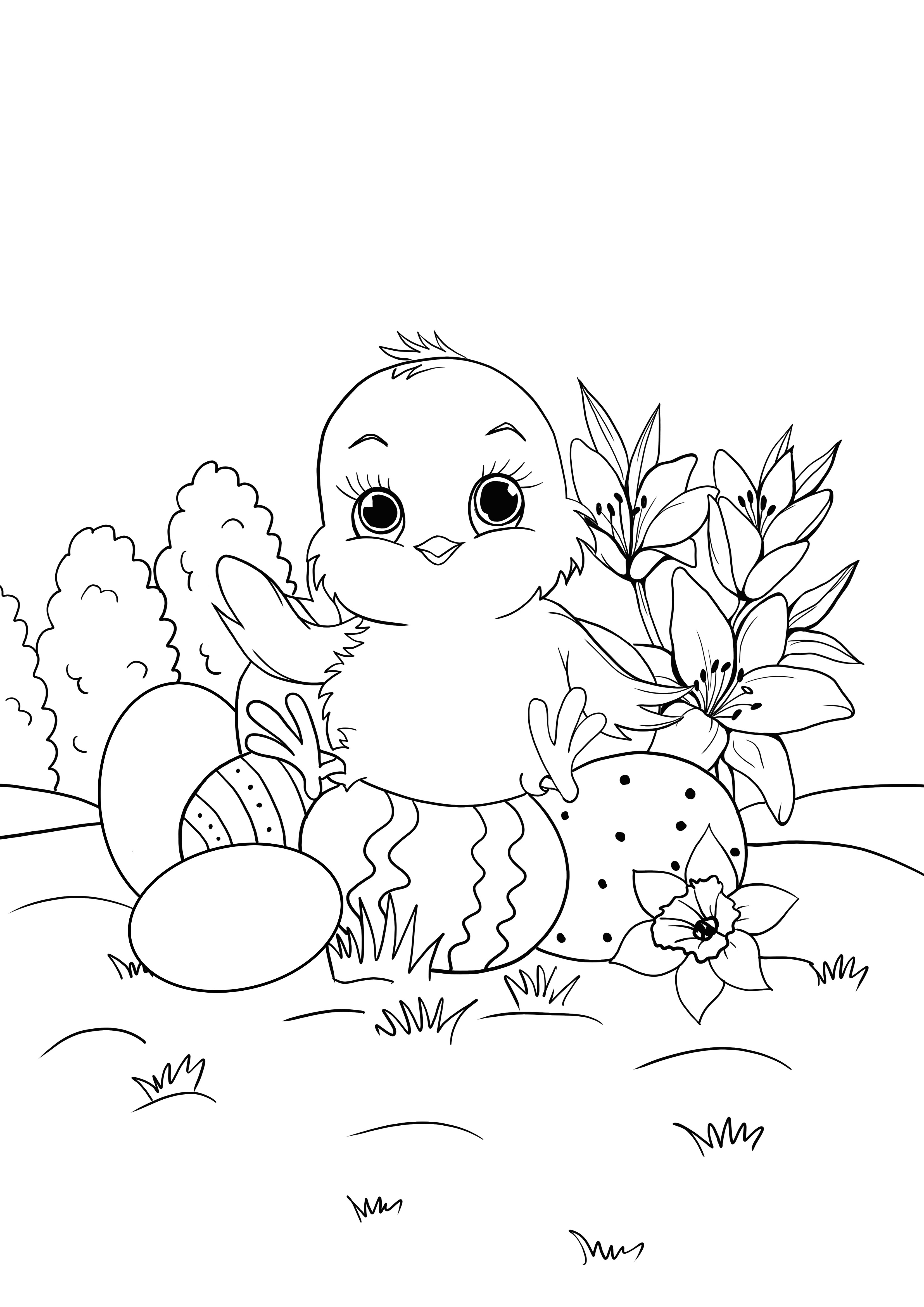 Dibujo de pollito en huevos de pascua para colorear e imprimir gratis