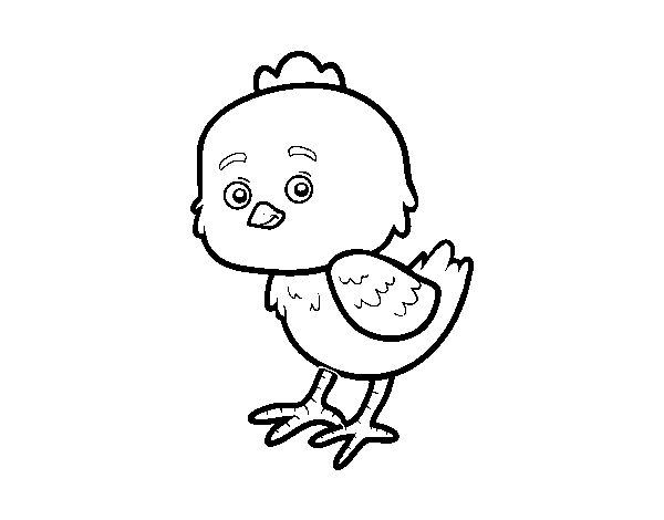 The little chick cheep coloring page