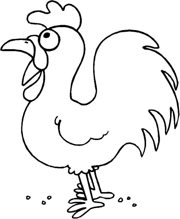 Dibujo de pollo para colorear y pintar