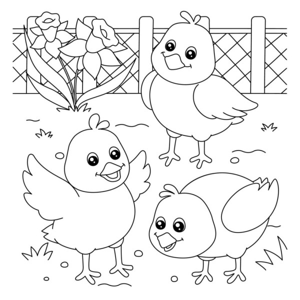 Dibujos de pollitos para colorear descargar e imprimir colorear imãgenes