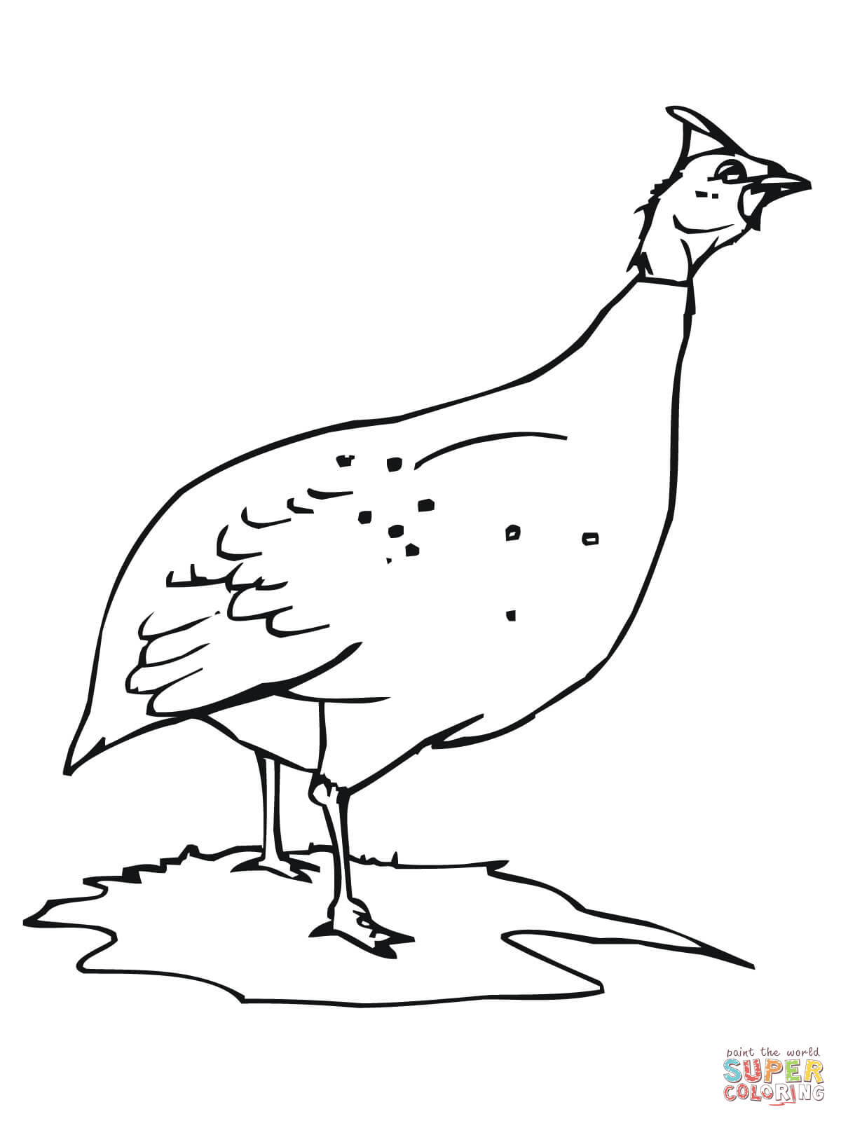 Guinea fowl coloring page free printable coloring pages