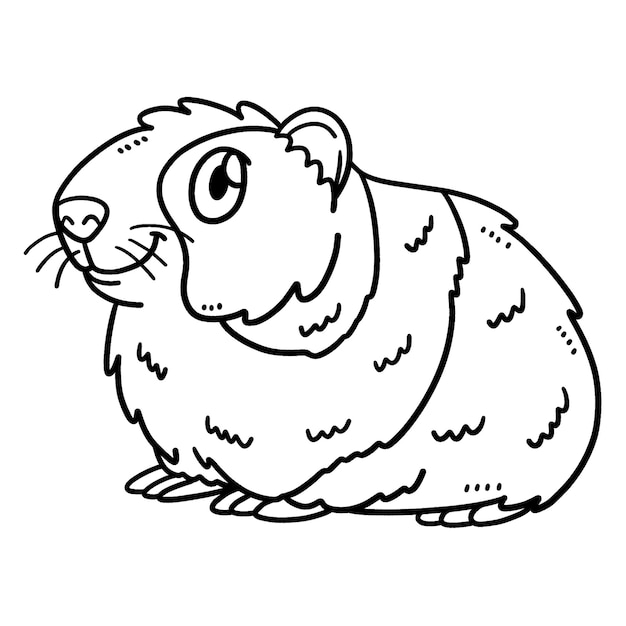 Premium vector baby guinea pig isolated coloring page for kids