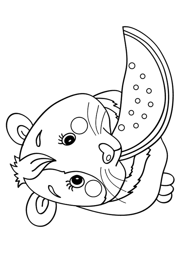 Guinea pig coloring pages