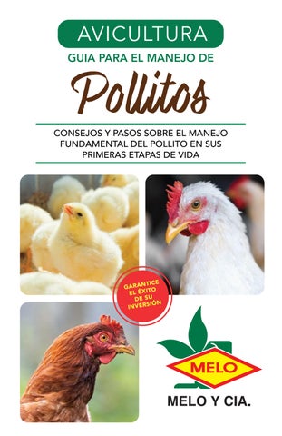 Guãa para el manejo de pollitos by asapanama