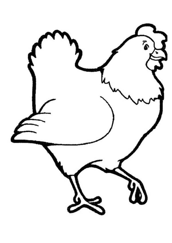 Chicken coloring pages