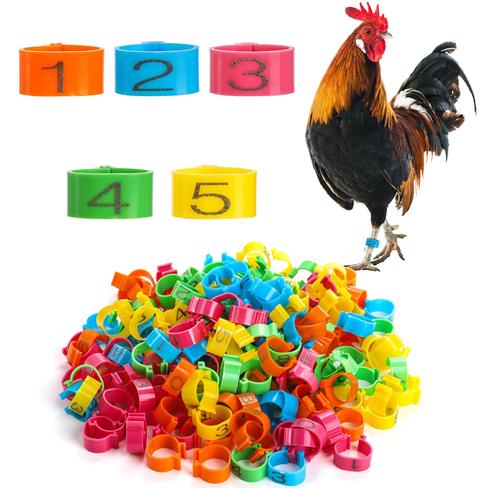 Coloch pieces mm chicken leg rings with color numbered chicken identification tag clip poultry foot bands plastic chicken marker tag for chicken bantam duck guinea and medium birds