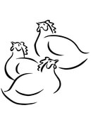 Guinea fowl coloring page free printable coloring pages