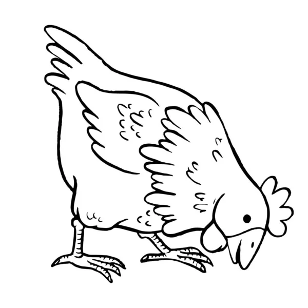 Coloring book chicken stock vector by ksenyasavva