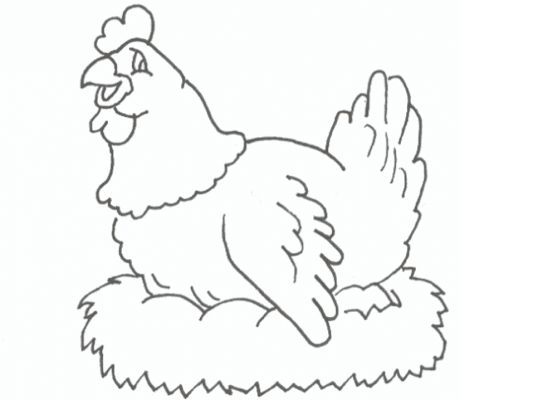 Dibujo de un pollo para colorear hayvan boyama sayfalarä boyama sayfalarä yazdärälabilir renkli sayfalar