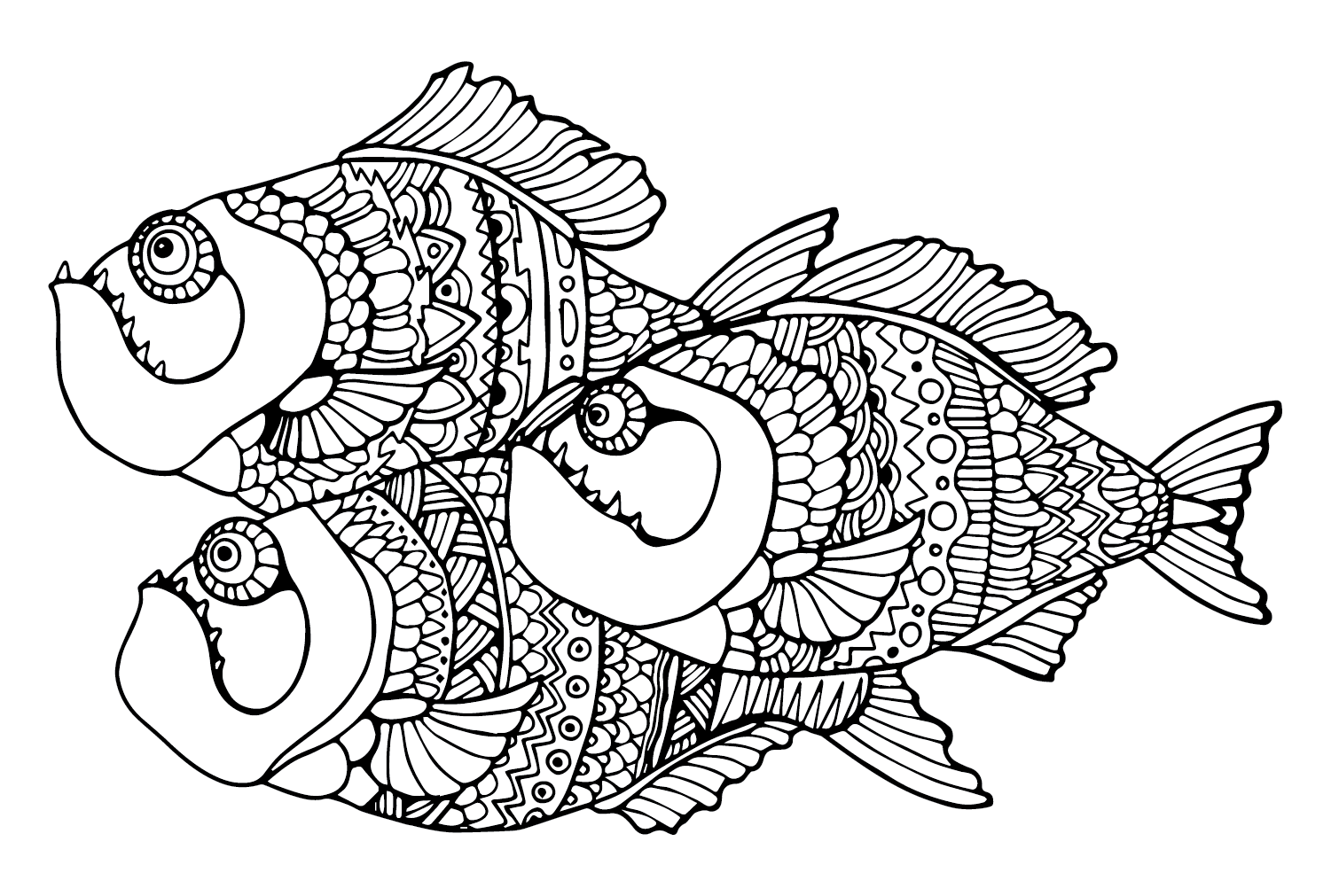 Piranha coloring pages