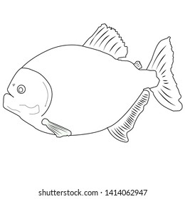 Piranha sketch over royalty