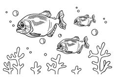 Piranha coloring pages ideas coloring pages piranha free printable coloring pages