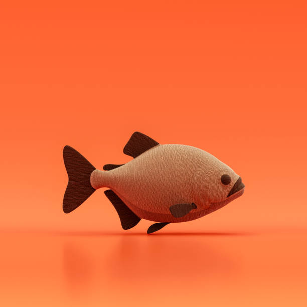 Piranha stock photos pictures royalty