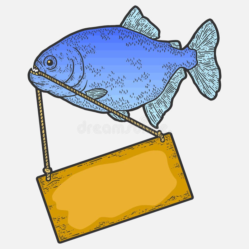 Sketch piranha stock illustrations â sketch piranha stock illustrations vectors clipart